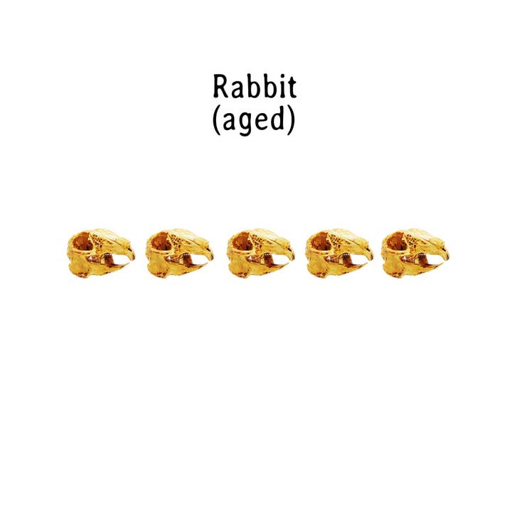 The Scale Grail – Großhandel Dekofigur – Replik des Kaninchenschädels — Häschenschädel im Maßstab 1:6, 3D-gedruckt, handbemalt, künstlicher kleiner Totenkopf, Puppenhaus, Dioramen, Kunstzubehör (5 Totenköpfe)2