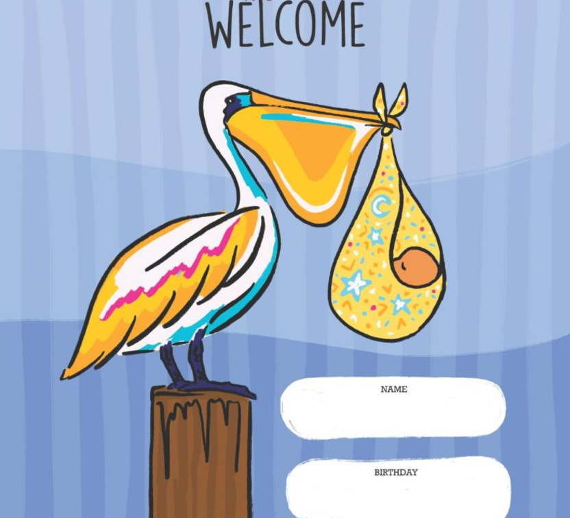 Pelican Publishing - Wholesale Baby & Toddler Book (0-2) - Mississippi Baby1