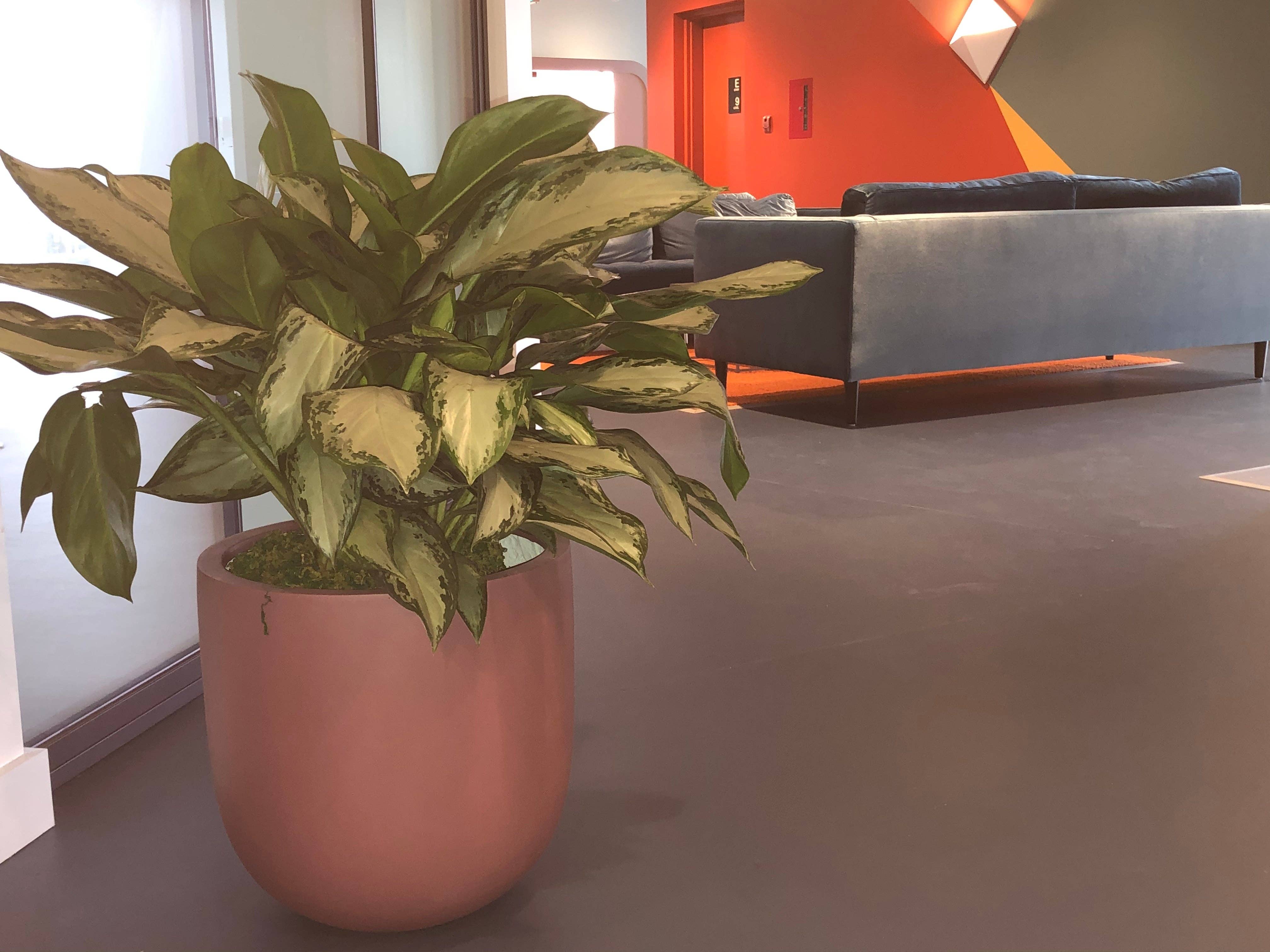 Common House Studio - Vendita all'ingrosso Vasi per piante - VASO ESSENZIALE | FIORIERA10