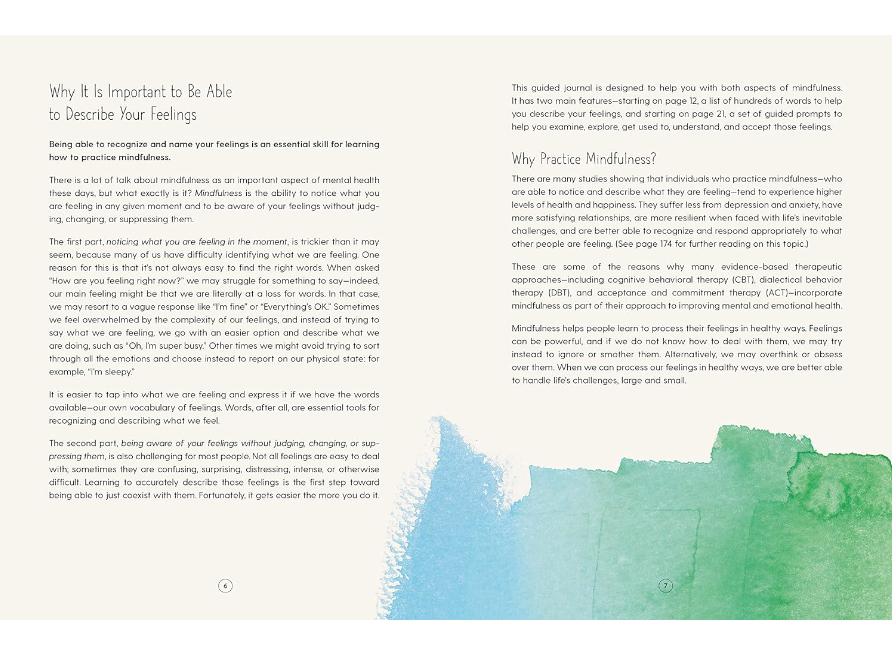 Blue Star Press - Wholesale Journal/Diary - How Am I Feeling Right Now?: A Guided Mindfulness Journal2