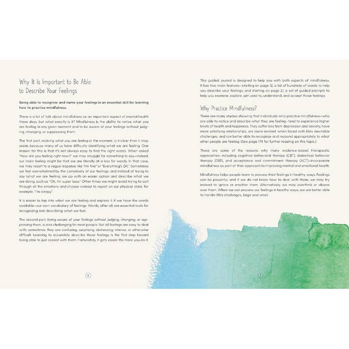 Blue Star Press - Wholesale Journal/Diary - How Am I Feeling Right Now?: A Guided Mindfulness Journal2