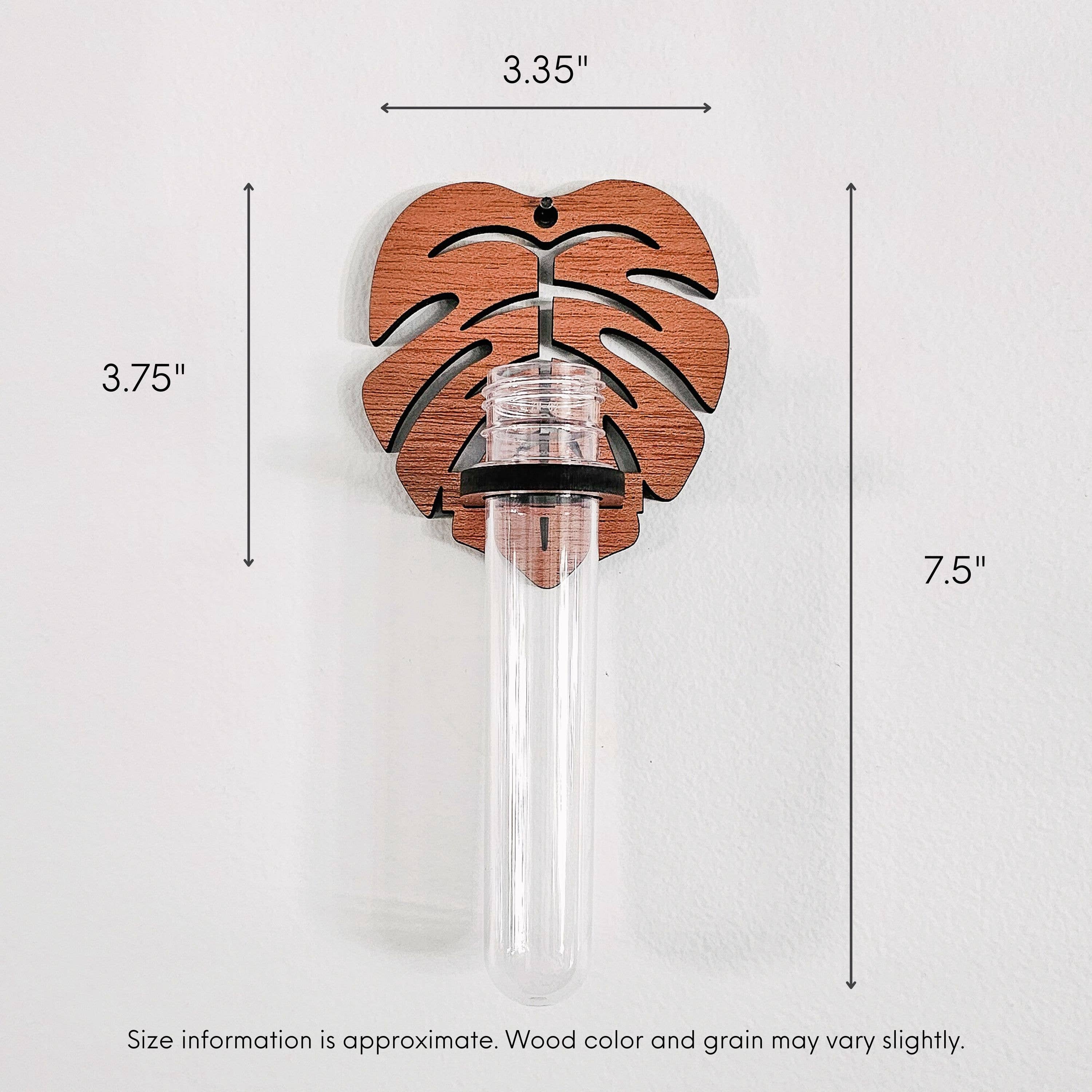 Leaf & Node - Wholesale Hanging Planter - Wall Hanging Propagation Station - Monstera Test Tube Holder3