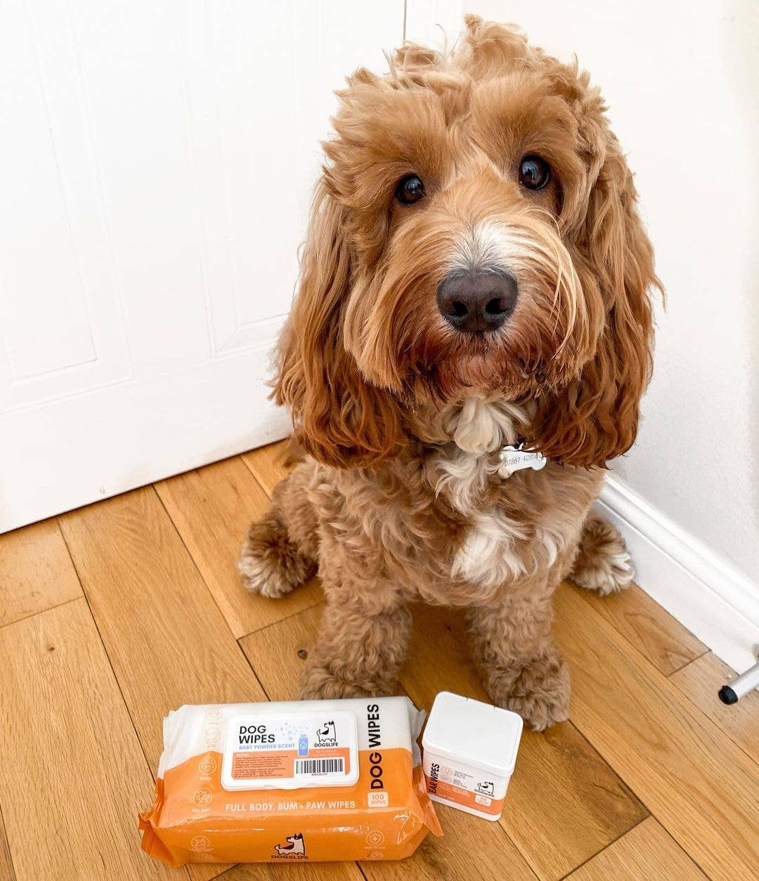 OurPetsLife - Wholesale Pet grooming aid – Dog - Scented Dog Wipes7