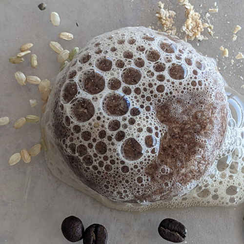 Tangie LLC - Wholesale Shampoo Puck/Solid Shampoo - Tangie Superfood Shampoo Bar – Strengthens & Regenerates1