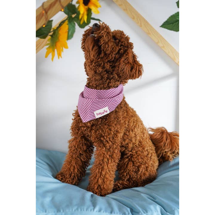 Hallon Herringbone Bandana för wholesale av Babelle For Dogs