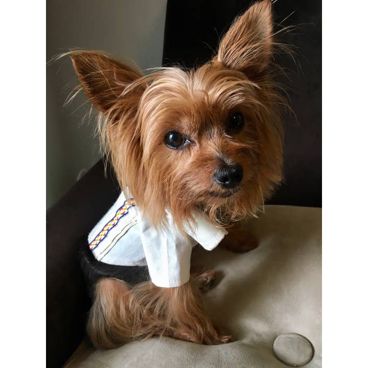 Gueyita Mexicana - Vente Chemise – chien - Chemises pour chien mexicaines/Guayabera mexicain pour chien6