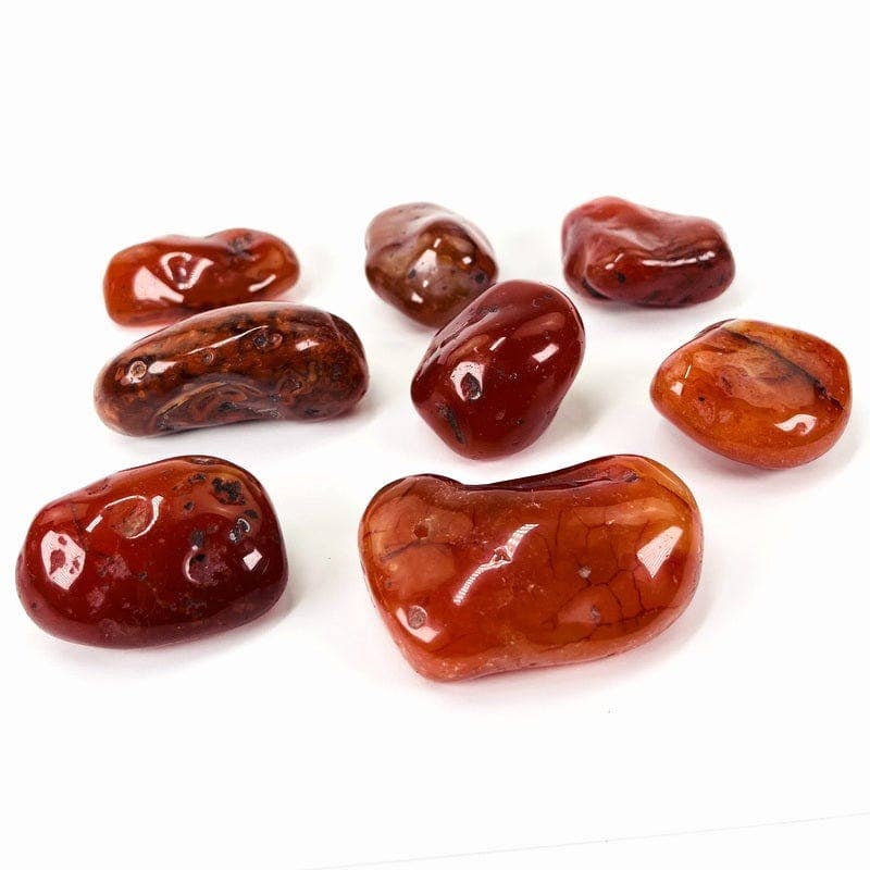 Rock Paradise - Wholesale Spiritual Stone/Crystal - Carnelian Crystal Tumbled Stones - XLarge Size - Choose 1,33