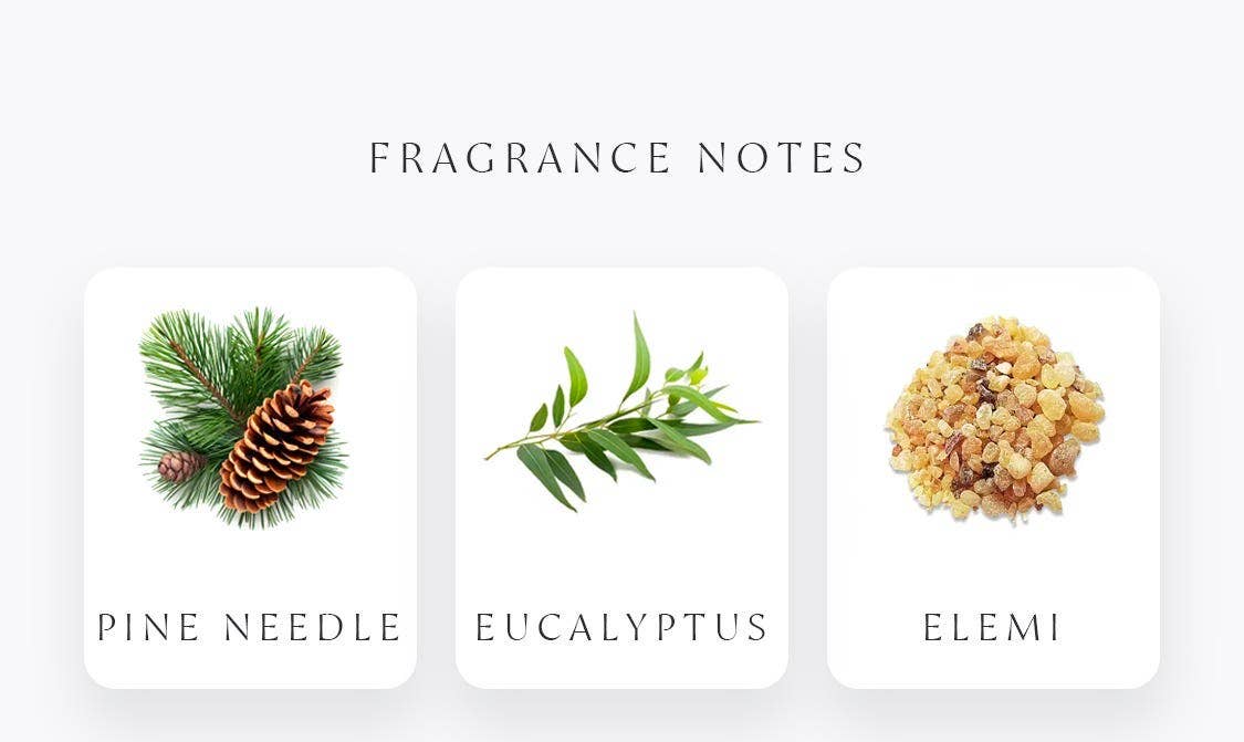 Amod aromas – wholesale Rökelse – Exotique - Rökelse + brännare presentset4