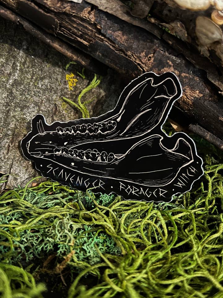 ADESIVO JAWBONE SCAVENGER - FORAGER - WITCH per la vendita all'ingrosso da parte di SOVRIN