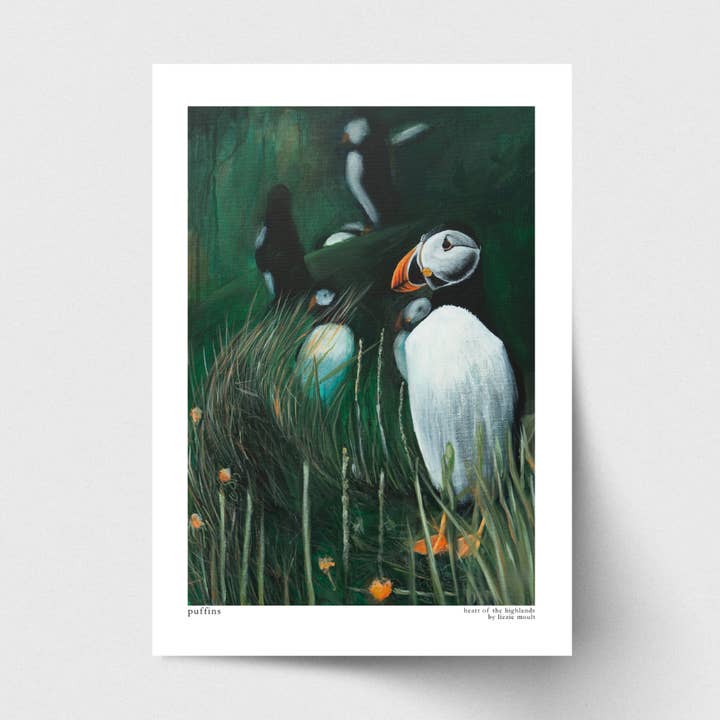 Puffins, Scotland, Fine Art Print for wholesale by Lizzie Moult