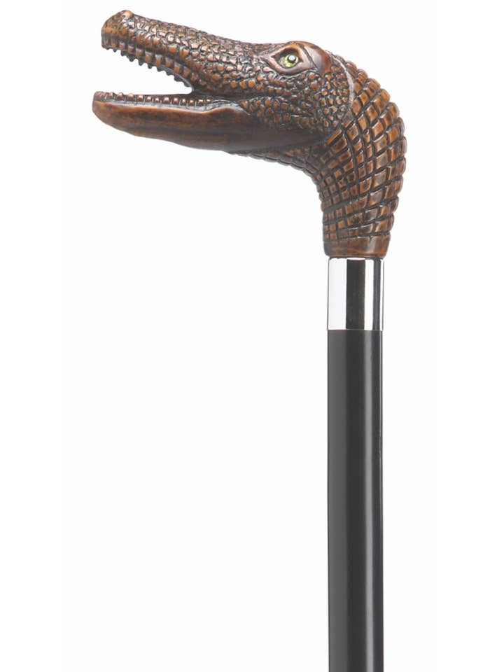 Alligator for wholesale by Harvy Canes