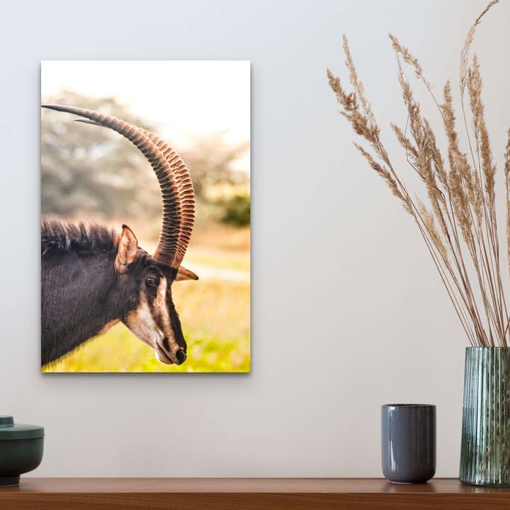 African Sable Antelope, Africa Wildlife Wood Art and Postcards for wholesale by Wimberley Puzzle Company