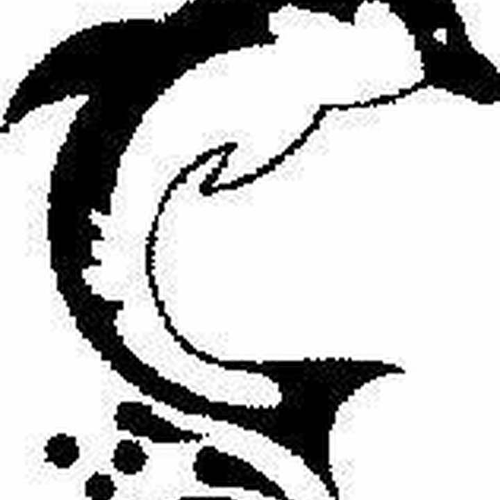 Dolphin - Cling Mount for wholesale by Emerald Creek Craft Supplies