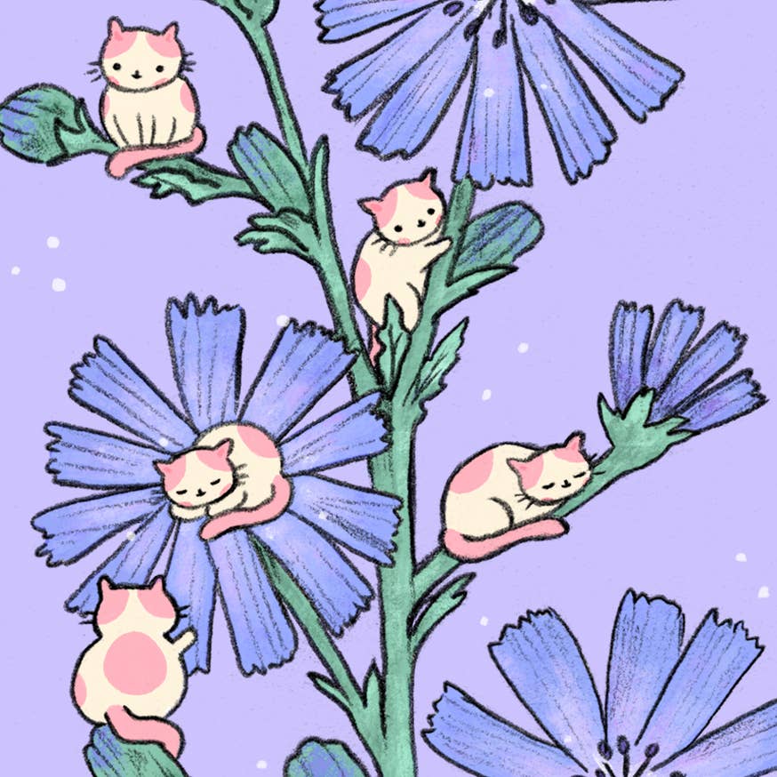 PONY PEOPLE - Wholesale Bookmark - Chicory Cats XL Bookmark2