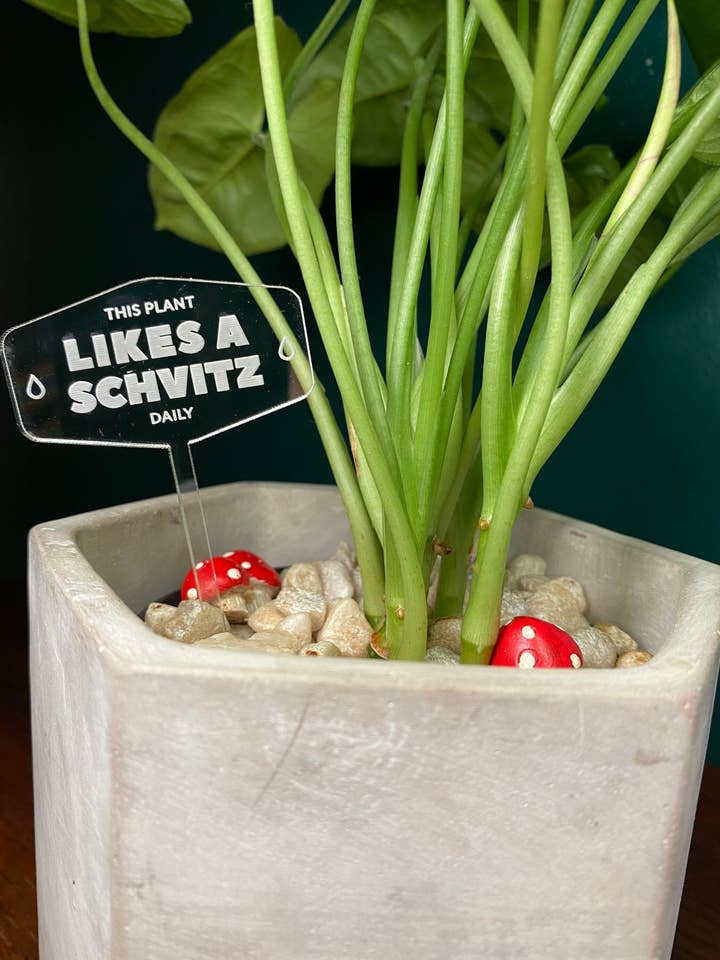 Schvitz Plant Sign for wholesale by Casa Plant Club