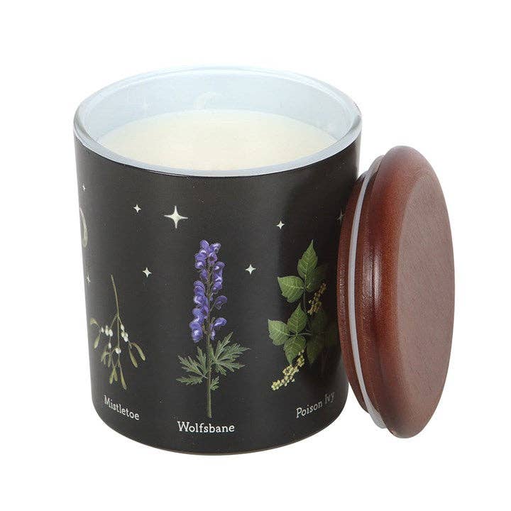 Something Different Wholesale - Wholesale Jar/Filled Candle - Poisonous Plants Deadly Nightshade Scented Candle2