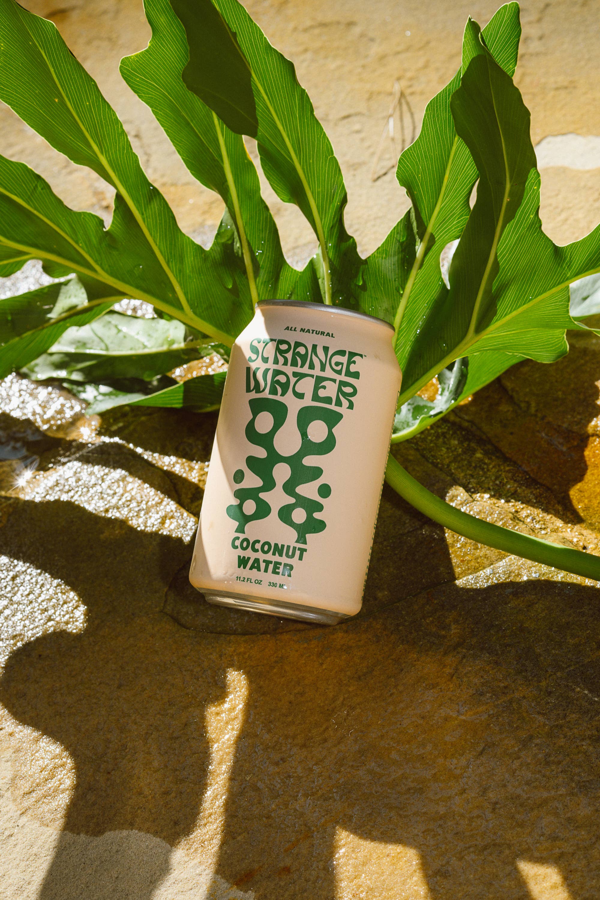 STRANGE WATER - Wholesale Fruit Juice - Natural Coconut Water3