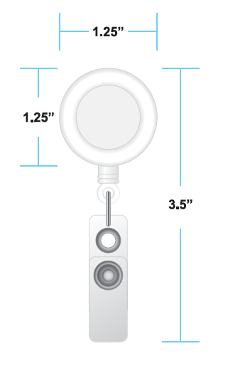 Aminco USA - Wholesale Badge Accessory - Unisex - NFL Seattle Seahawks Badge Reel1