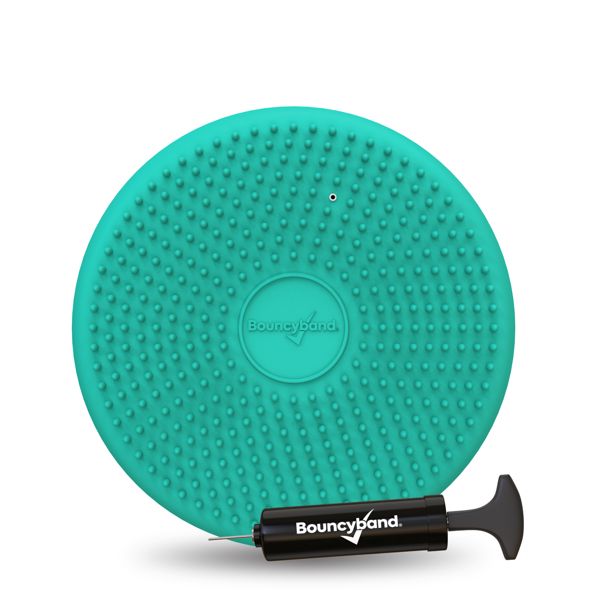 Bouncyband LLC - Wholesale Floor Pillow - 33cm Wiggle Seat Big Sensory Cushion7