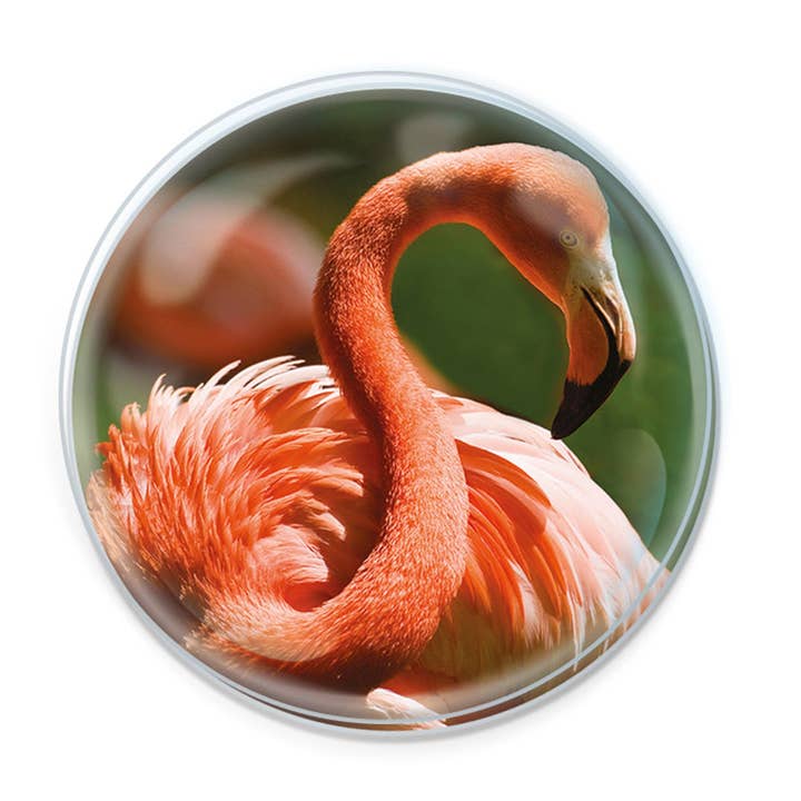 Deluxebase - Wholesale Magnet - Magnidomes - Flamingo Fridge Magnet0