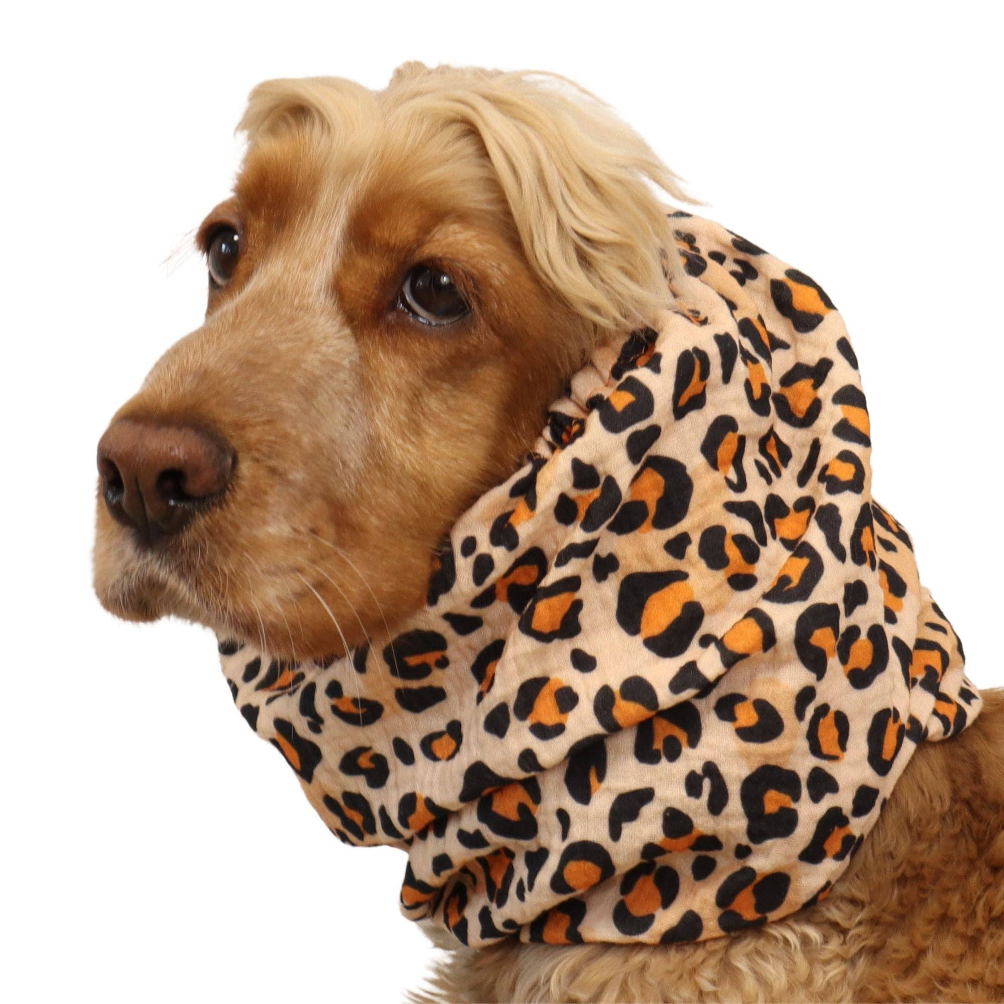 Distinguish Me – Großhandel Kapuzenschal für Haustiere – Hund – Baumwoll-Hundeschal – Leicht und atmungsaktiv für den Sommer | Raaarrr0