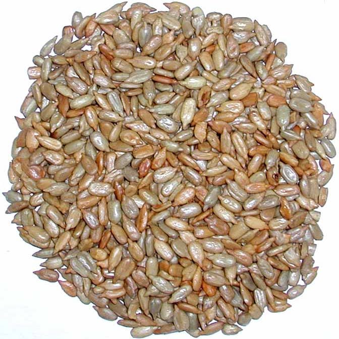 Good Sense Foods - Wholesale Nuts - Roasted No-Salt Sunflower Kernels (shelled sunflower seeds)1