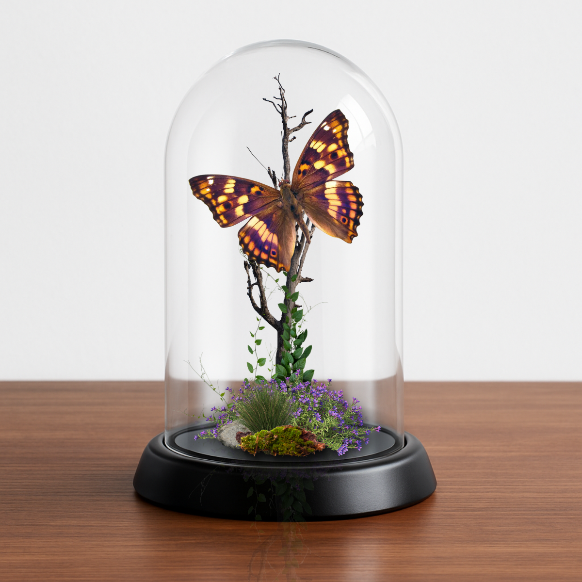 Instar Innovations - Vendita all'ingrosso Decorazioni da tavolo - Collezione di 6 diorami con farfalle sotto cupola da 15x10 cm1