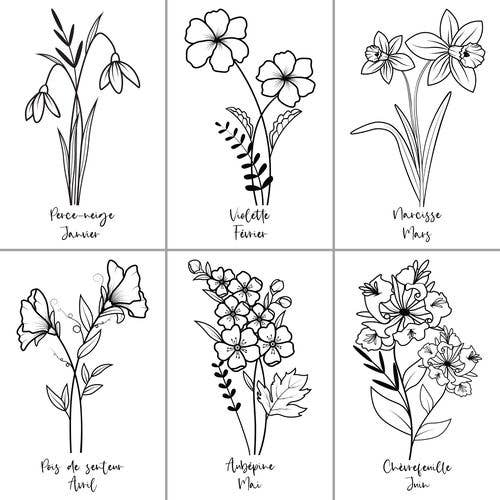 ColorFall Editions - Venta al por mayor Libro para colorear y cuaderno de actividades - Adultos - Libro de colorear de flores de nacimiento para adultos3