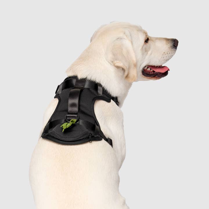 Canada Pooch - Wholesale Pet Harness - Dog - Everything Neoprene Harness- Dog Harness2