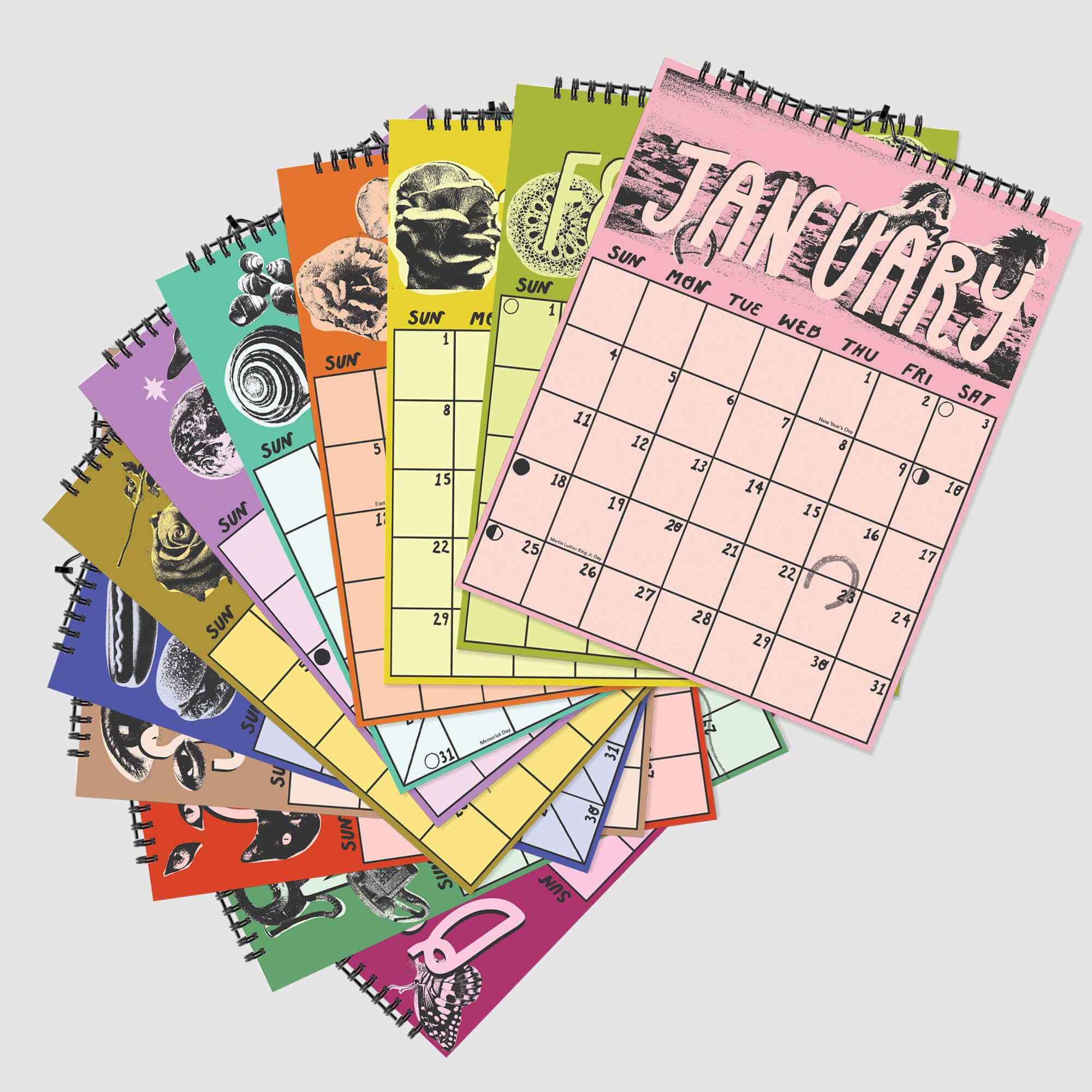 Rainbow Vision - Wholesale Calendar - 2026 Wall Calendar1