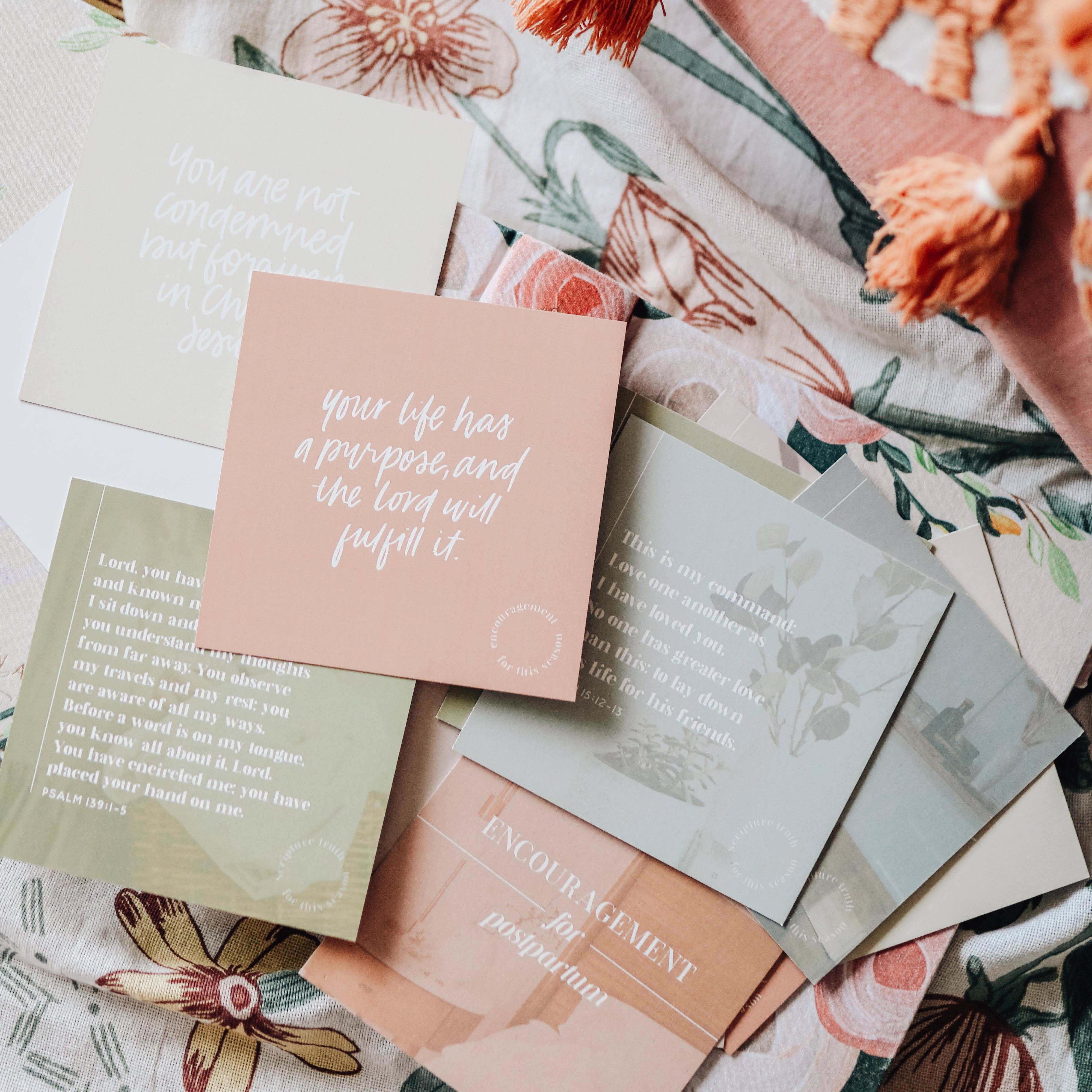 The Daily Grace Co - Wholesale Encouragement Card - Encouragement for Postpartum Verse Card Set2