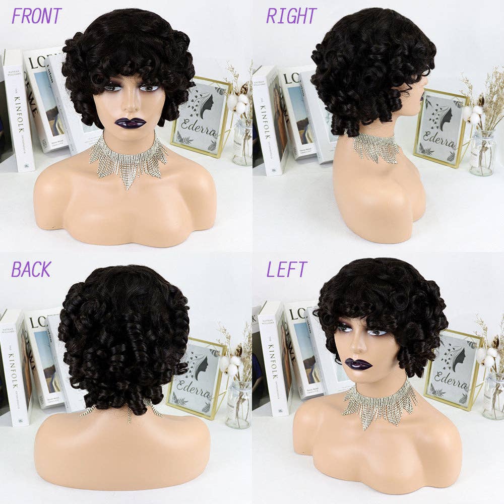   Natural Curly Human Hair Wig Collection for wholesale on Faire4