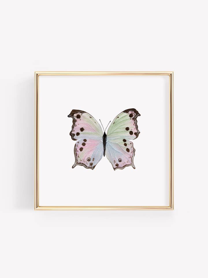 Mother of Pearl Butterfly Art Print for wholesale by Tara Feather Designs