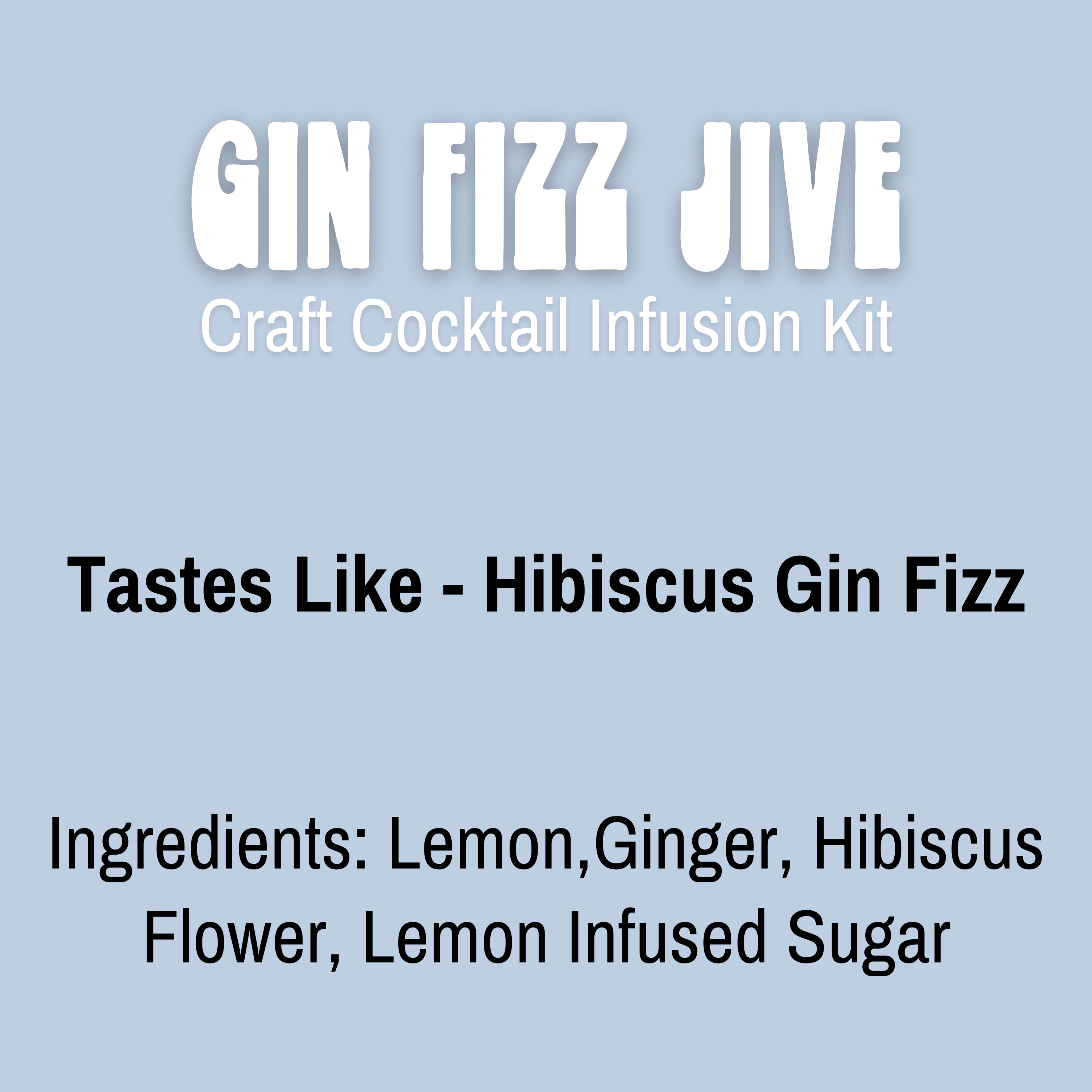 Lou's Libations – wholesale Cocktail mix/syrup – Jar Holiday Cocktail Kit Gin Fizz Jive | Lou's Libations1