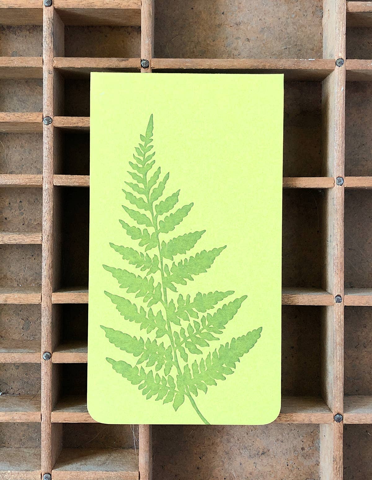 Blackbird Letterpress - Wholesale Notepad - fern jotter notepad4