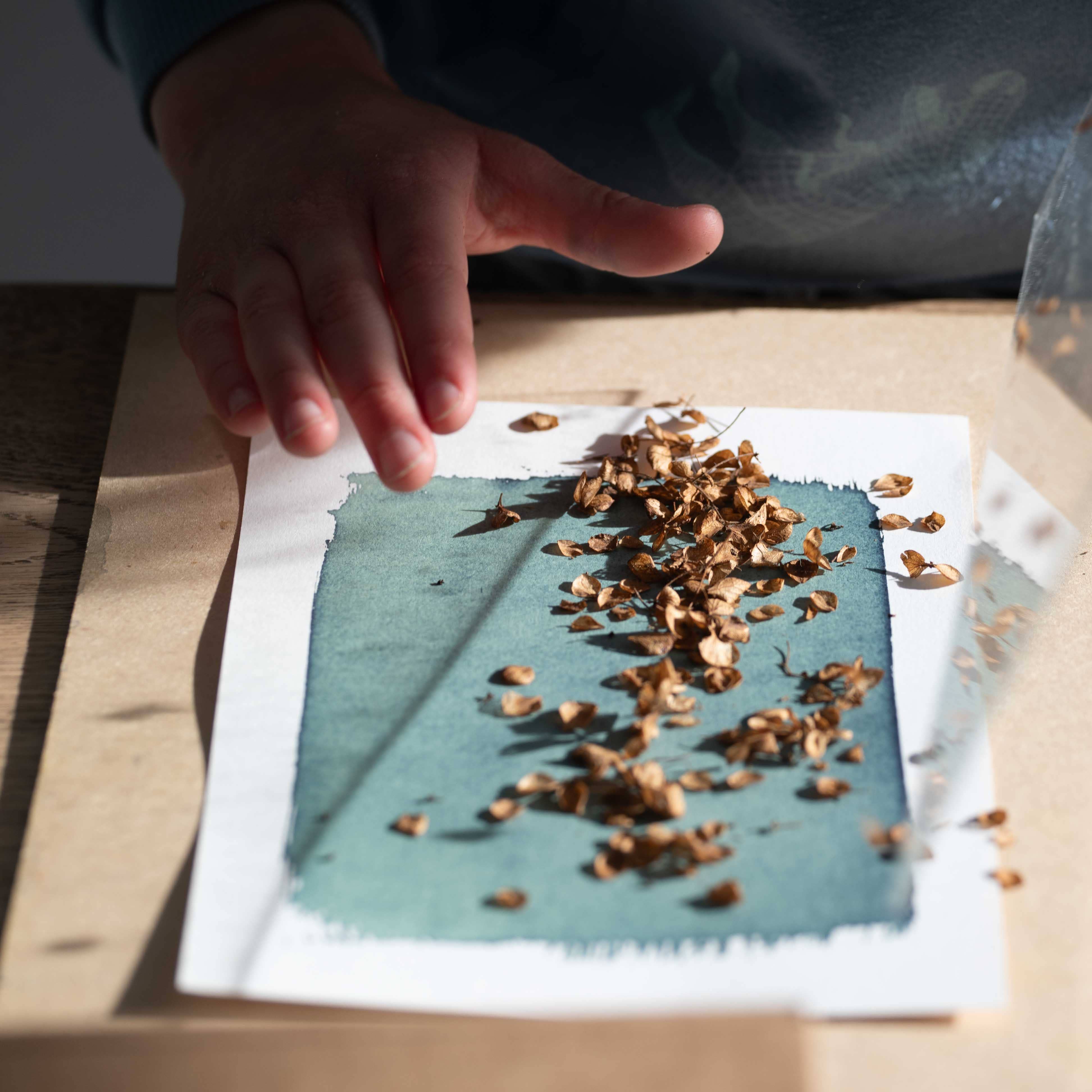 The Wild Darkroom – wholesale DIY craft kit – Cyanotype Printing Paper - A53