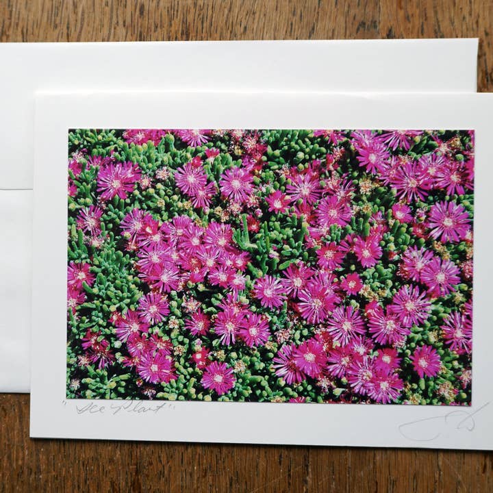Ice Plant - Handmade Everyday Greeting Card for wholesale by Ann Woodall Studios