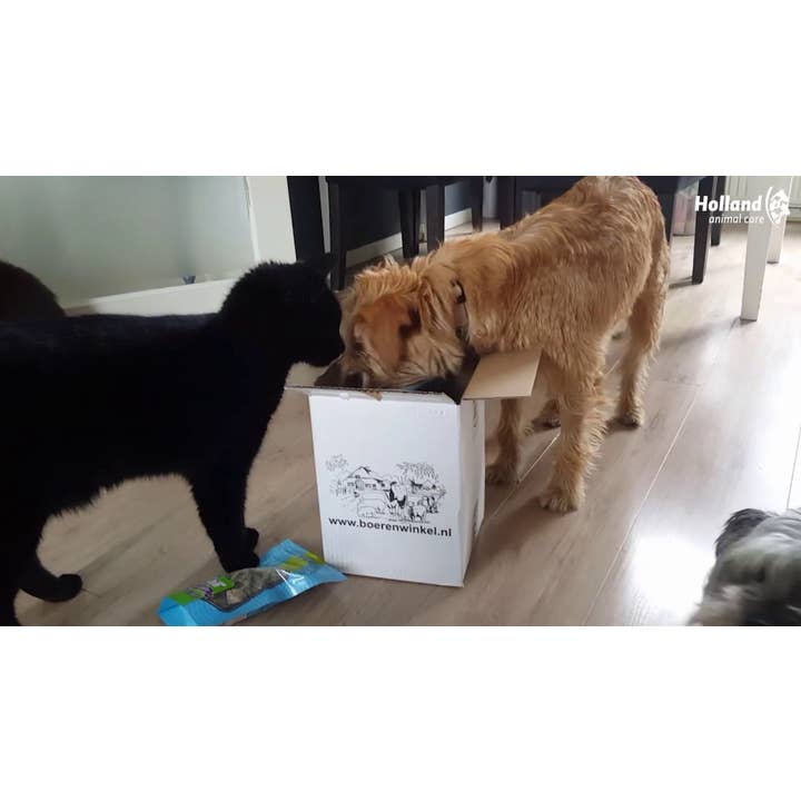 Hofman Animal Care - Wholesale Pet Treats - Dog - Braaaf Soft Snack Tuna Stick with Carrot and Green Bean3