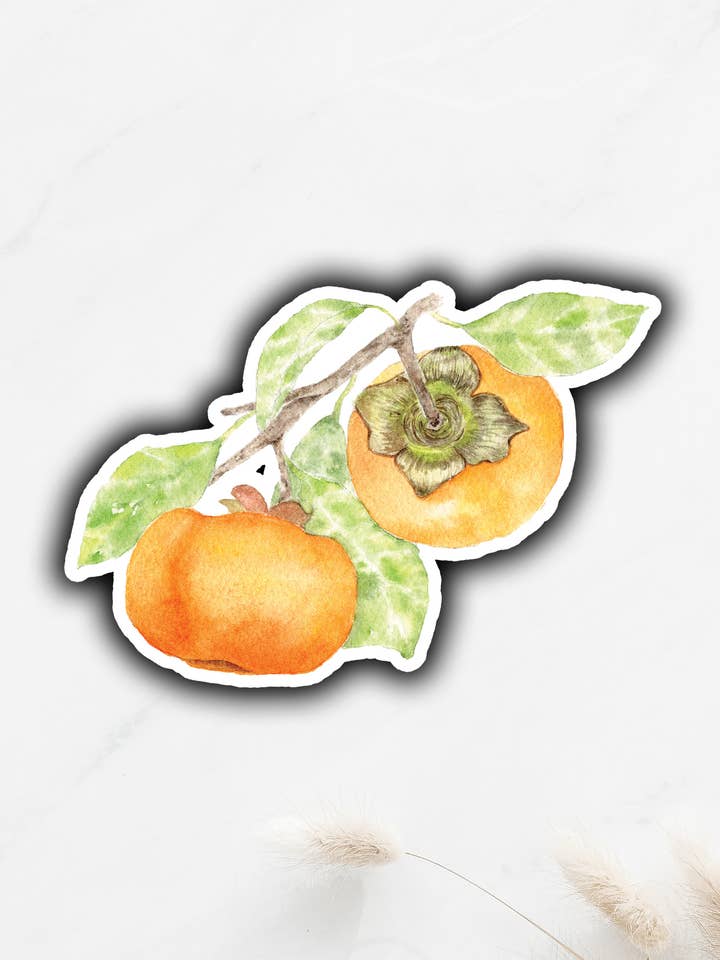 Autocollant vinyle Persimmon pour la vente par Tammy Speed Design