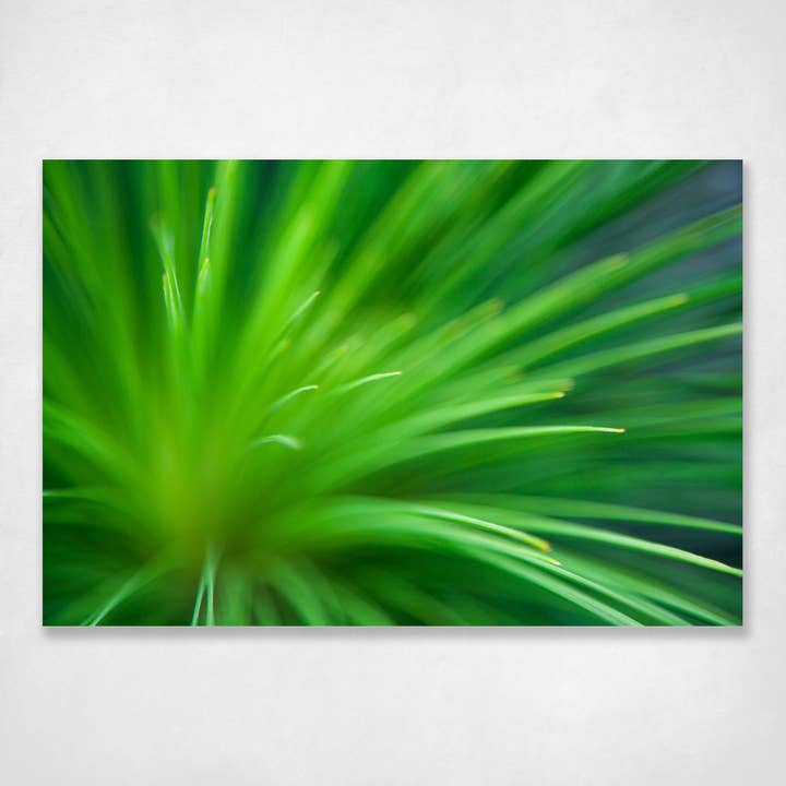 Botanical Wall Art Print Calming Abstract Green Fresh Tones - Stradbroke Island Grass Tree for wholesale by Ocean's Echo