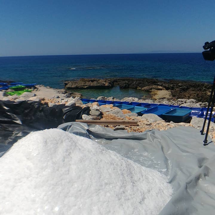 Village Batch - Wholesale Salt - Sea Salt Flakes1