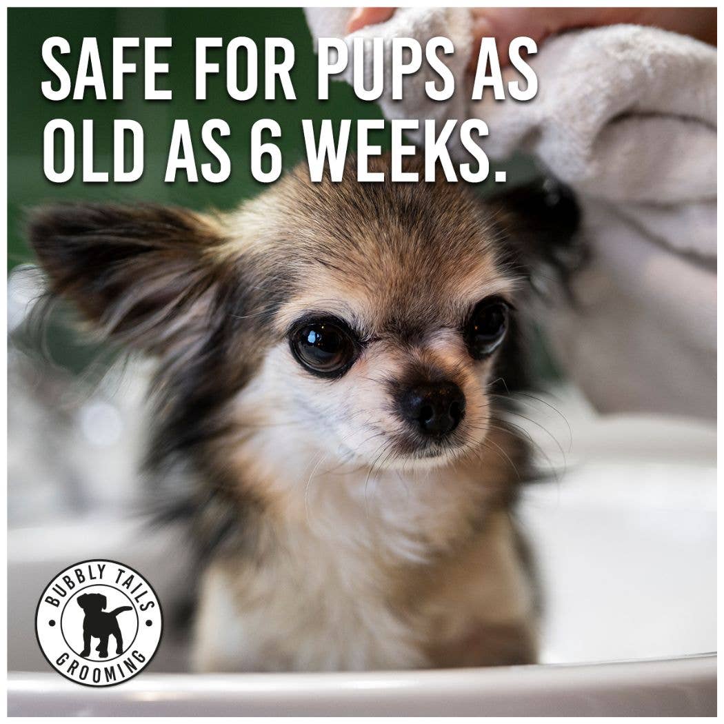 HugglePets - Venta al por mayor Champú - Perros - Champú para perros HugglePets Bubbly Tails13