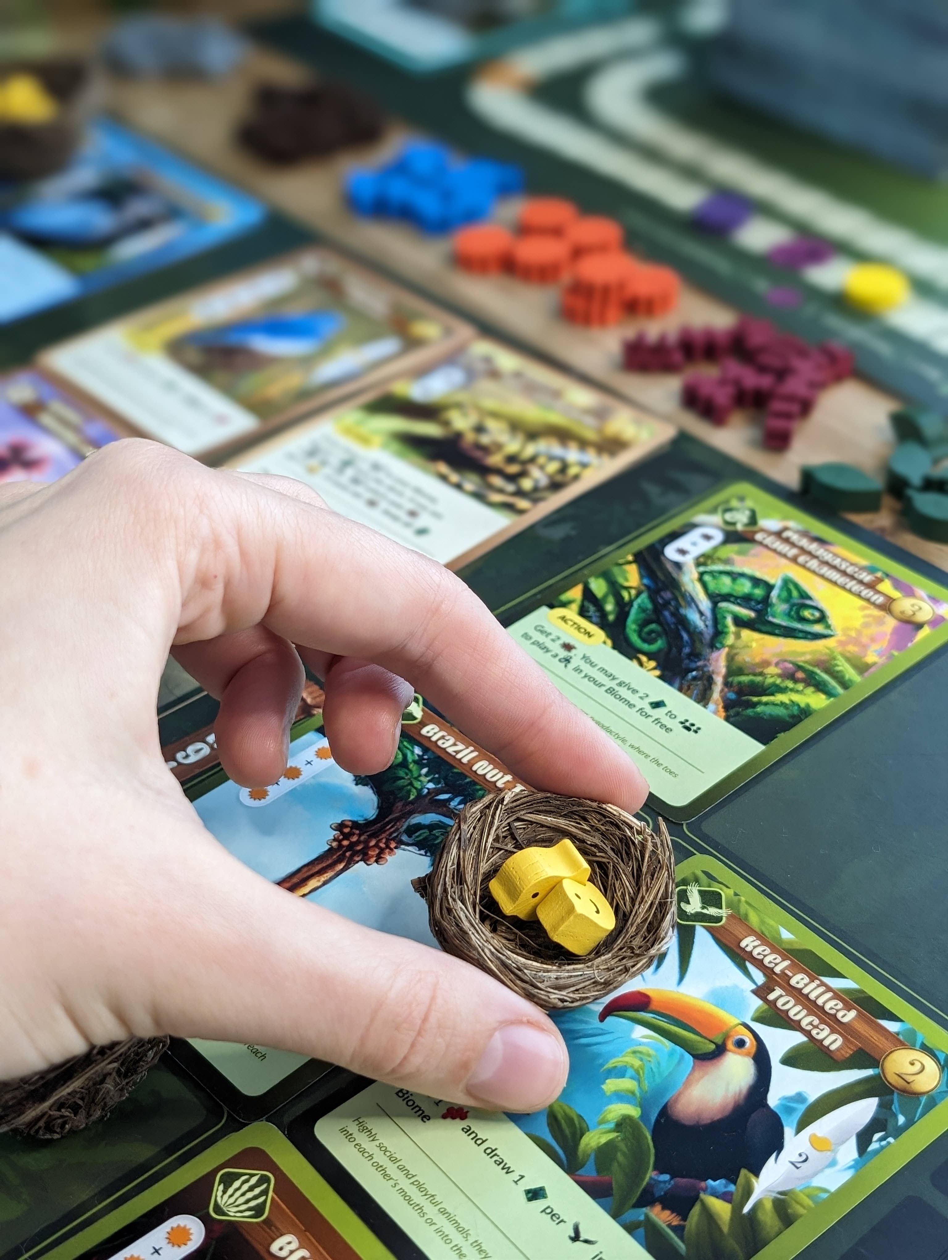 Bridge Distribution - Wholesale Board Game - Biome 2nd Edition MSRP4