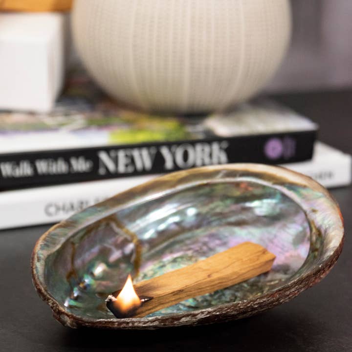 My American Goods - Vendita all'ingrosso Piatti per smudge - Conchiglia di Abalone di Andaluca Home