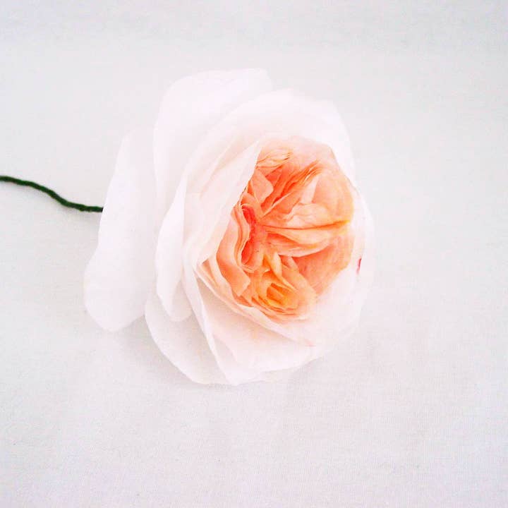 Beautiful Things By Bec - Wholesale Artificial Flowers - Paper David Austin Roses set of 10 Stems