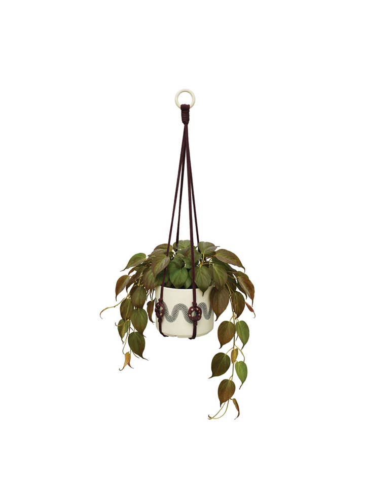 Large Plant Hanger w/ Wood Rings - Dark Chocolate Color for wholesale by Soul of the Party