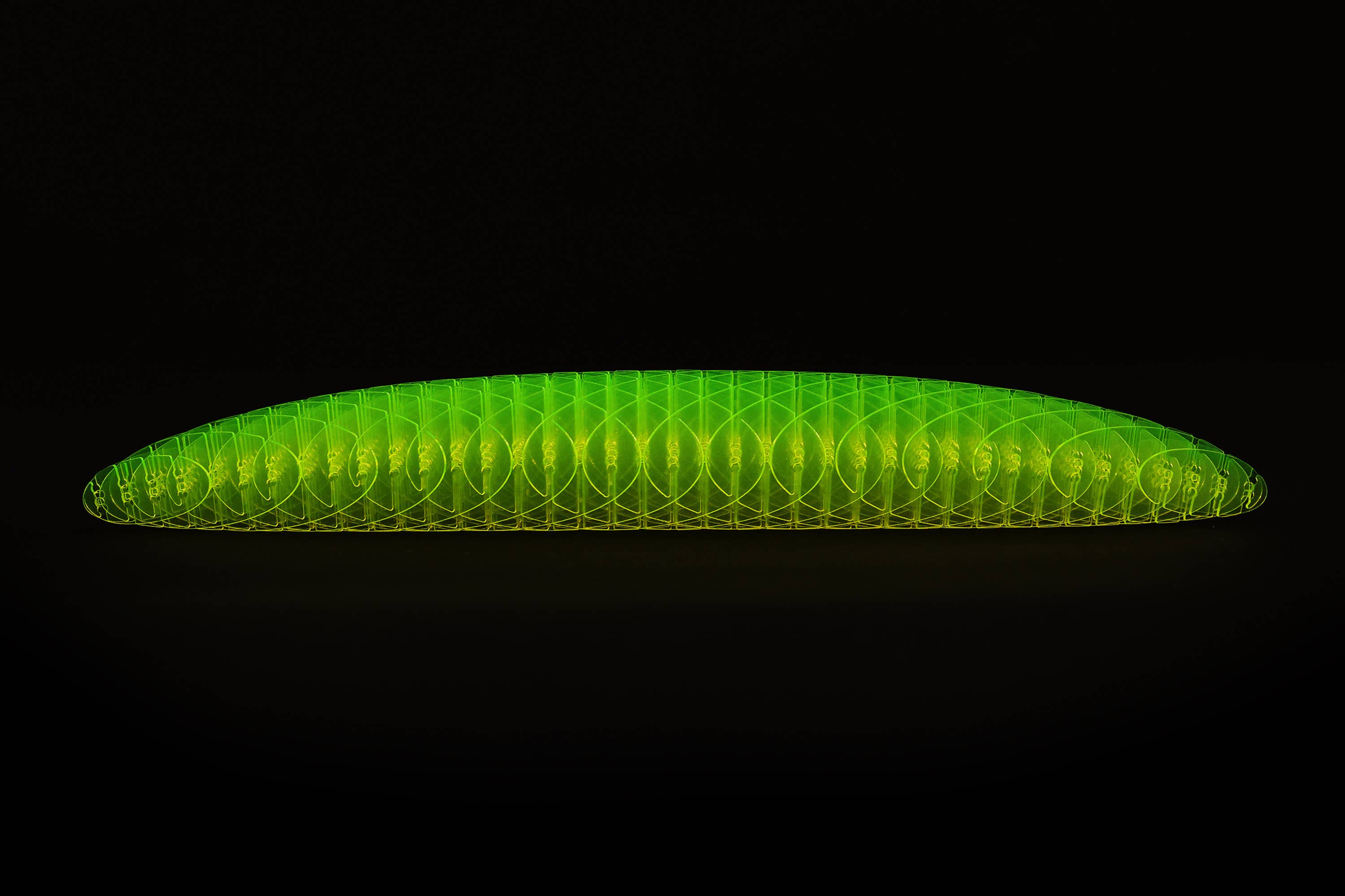 Humango - Wholesale Fidget Toy - Kids - Morf Fidget Worm Green Big2