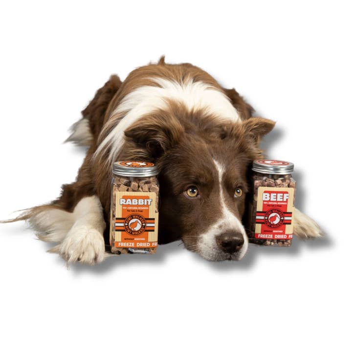 IGSM LTD - Wholesale Pet Treats - Dog - KIWI Walker Dog Treats - Freeze Dried Meat & Chicken