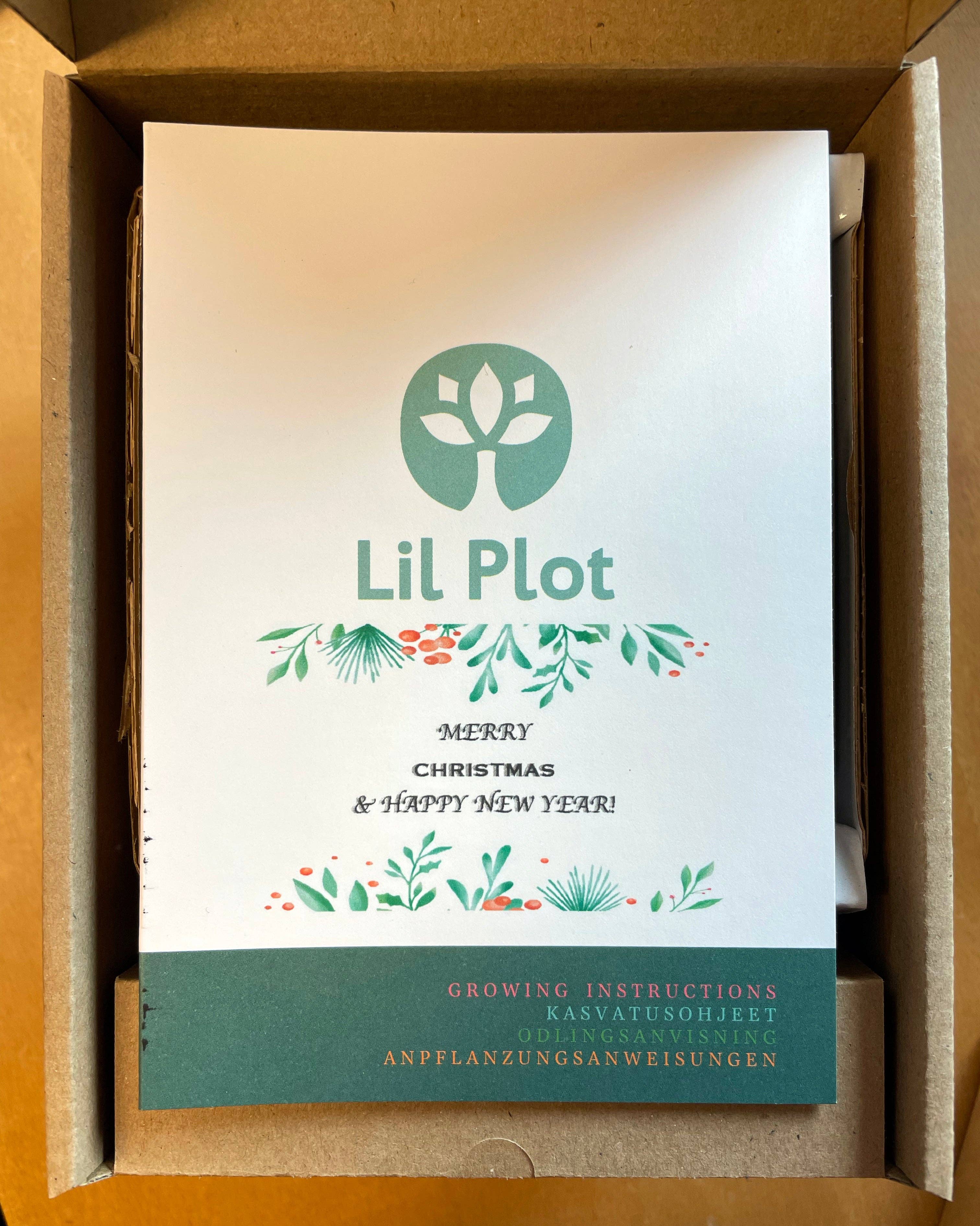 Lil Plot - Wholesale Plant Seeds - Rainbow Chili Bonsai Growing Kit1