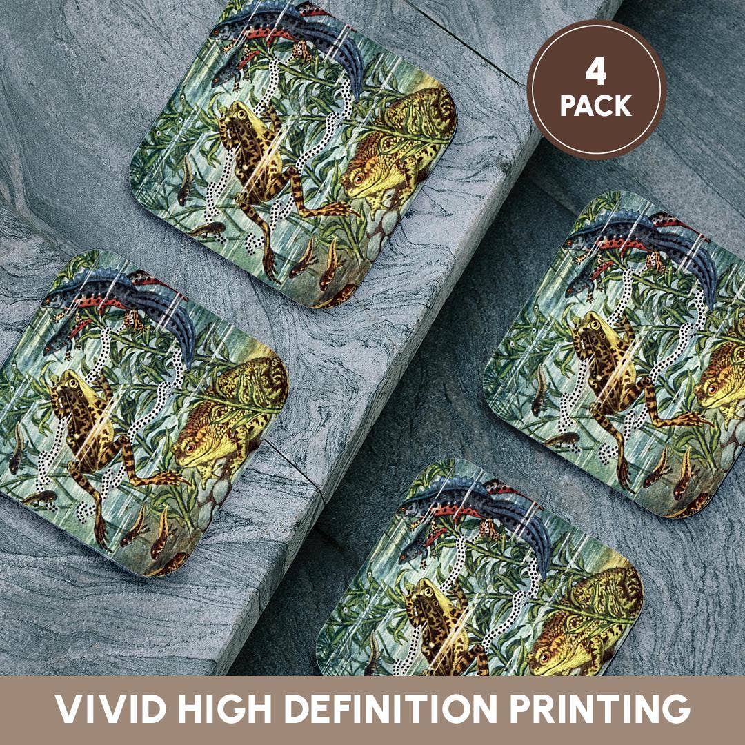 3dRose - Wholesale Onderzetters - 3dRose, Kikker Padden Salamanders en Kikkervisjes Antieke Vintage Zoölogie Illustratie Kunst, Onderzetter12